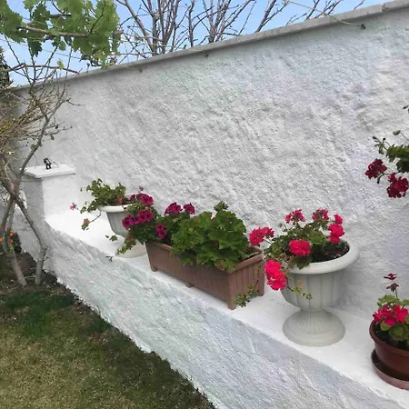 Luex Havuzlu Hotel Cesme